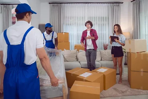 Domestic Removals