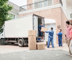 European removals from South West London